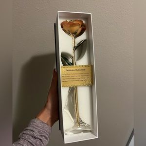 Forever Love 24k gold dipped REAL pink rose